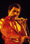 Freddie Mercury photo